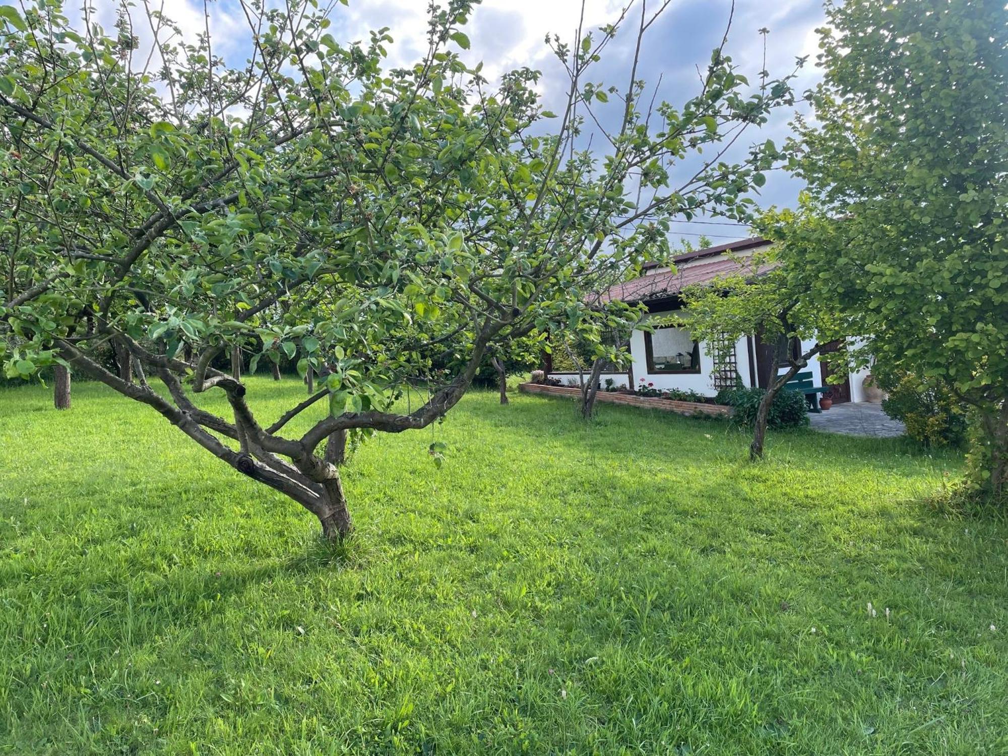 Casa Benjamin Villa Oviedo Luaran gambar